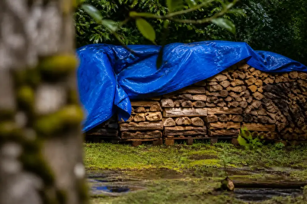 Buches fendues empilees sous une bache bleue