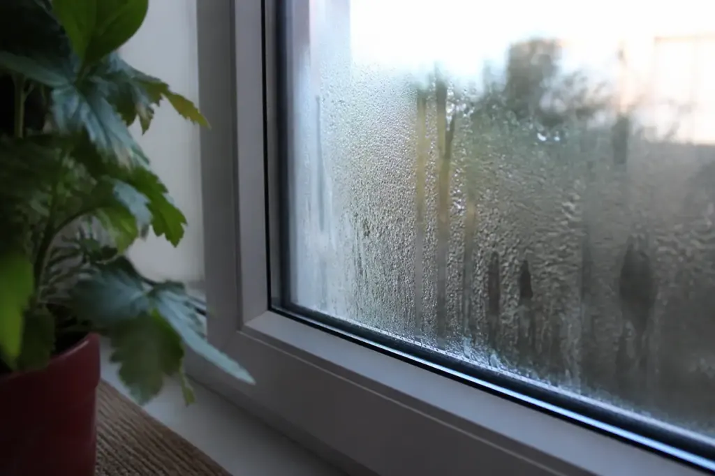 Fenetre blanche en PVC avec buee sur le vitrage